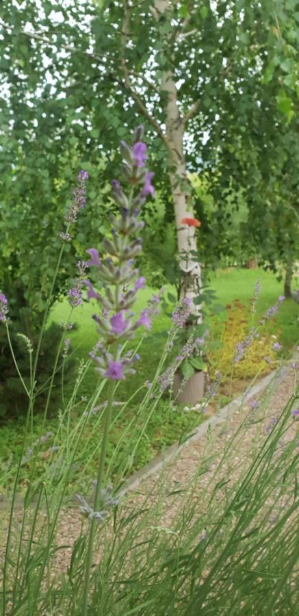Green Garden Lohovo Bihac Exterior photo