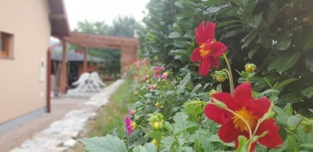 Green Garden Lohovo Bihac Exterior photo